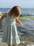 Susie Dress in Blue Multi Stripe