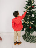 Boys Button Down in Red Picnic Plaid