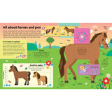 All About Horses & Ponies: Lift-The-Flap Book