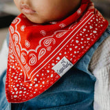 4 Pack Baby Bandana Bibs - Boone