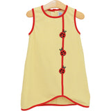 Lovely Ladybugs Dress