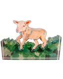 Lamb Acrylic Display